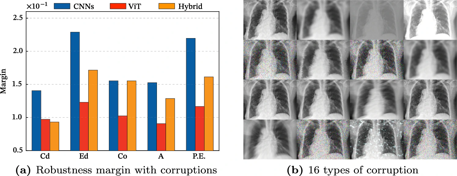 Figure 1 from the CNN and ViT analysis paper showing robustness results and corrupted medical image examples.