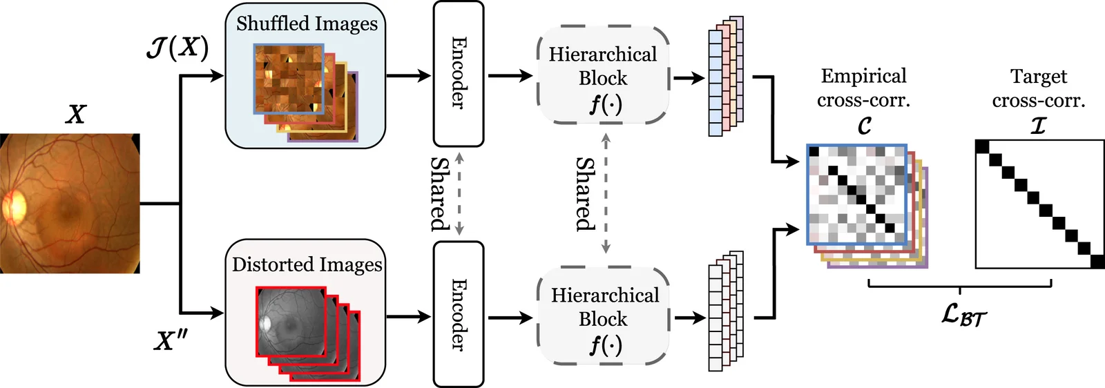 Figure 1 showing the FG-SSL architecture with shuffled and distorted image branches feeding a shared hierarchical block toward a Barlow Twins style cross-correlation loss.