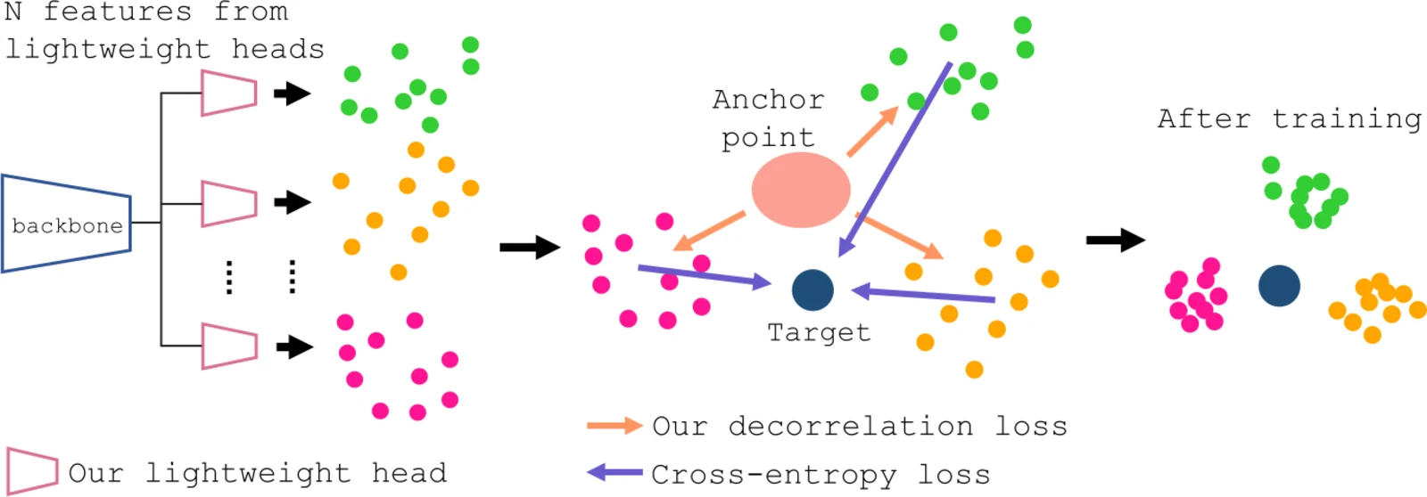 Figure 2 showing the proposed learning method: a backbone feeds N lightweight heads whose features are pulled toward the target by cross-entropy loss while a decorrelation loss pushes them apart from an anchor point, yielding less-correlated clusters after training.