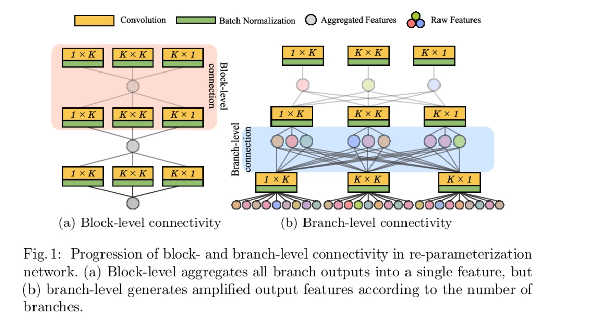 Figure 1 illustrating the progression from block-level to branch-level connectivity in the re-parameterization network.